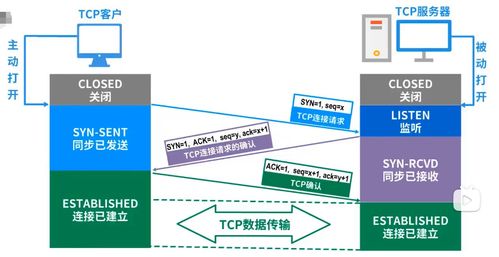 計(jì)算機(jī)網(wǎng)絡(luò)體系結(jié)構(gòu)與計(jì)算機(jī)系統(tǒng)服務(wù)